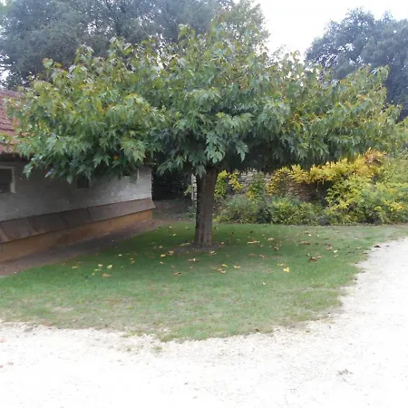 Avec Jardin, Clim, Wifi, Proche Sarlat Et Riviere Dordogne, Animaux Bienvenus - Fr-1-616-310 *